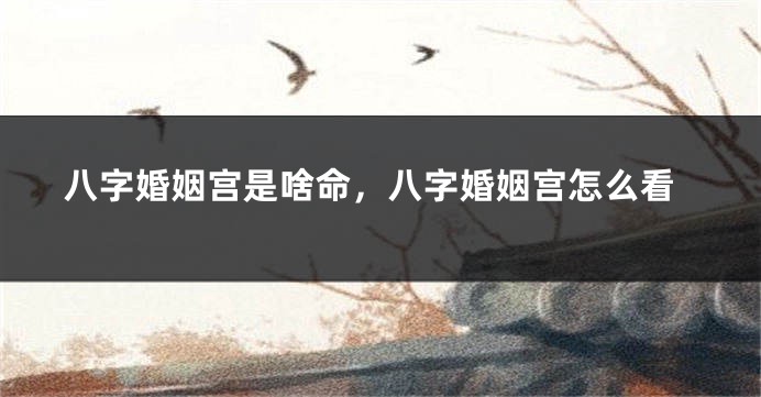 八字婚姻宫是啥命，八字婚姻宫怎么看
