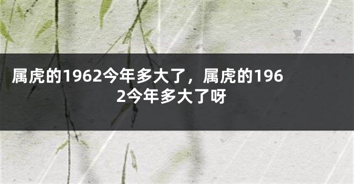 属虎的1962今年多大了，属虎的1962今年多大了呀