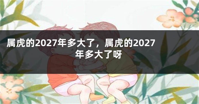 属虎的2027年多大了，属虎的2027年多大了呀