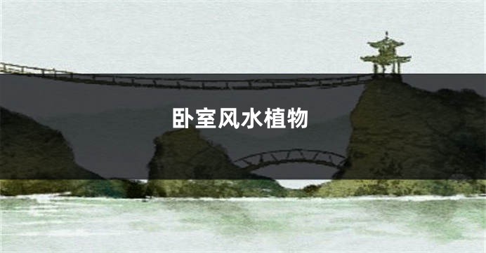 卧室风水植物