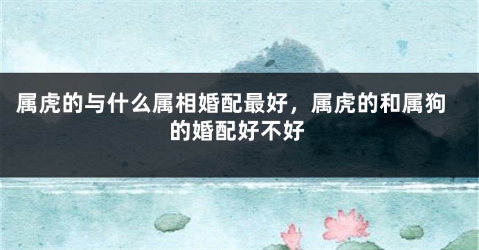 属虎的与什么属相婚配最好，属虎的和属狗的婚配好不好