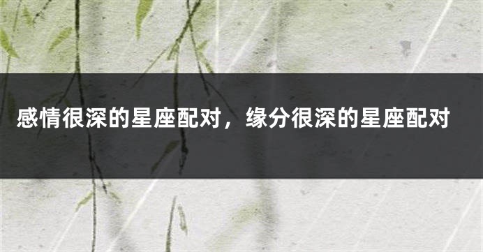 感情很深的星座配对，缘分很深的星座配对