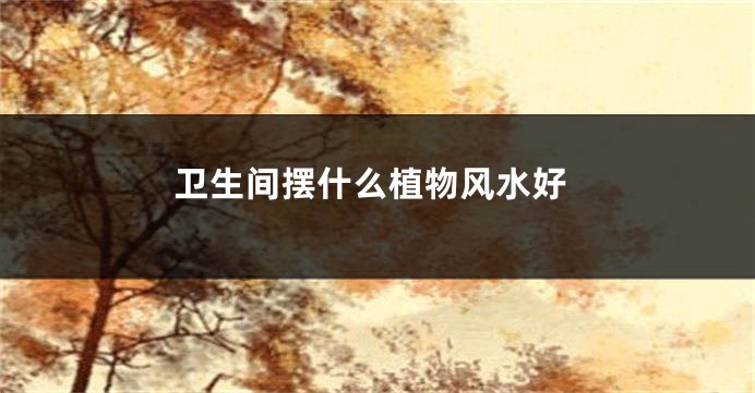 卫生间摆什么植物风水好