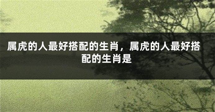 属虎的人最好搭配的生肖，属虎的人最好搭配的生肖是