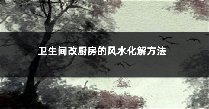 卫生间改厨房的风水化解方法
