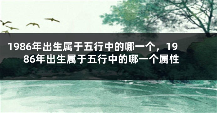 1986年出生属于五行中的哪一个，1986年出生属于五行中的哪一个属性