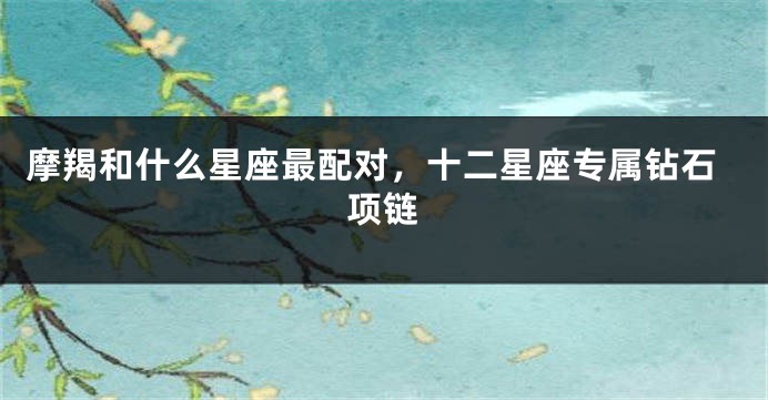 摩羯和什么星座最配对，十二星座专属钻石项链
