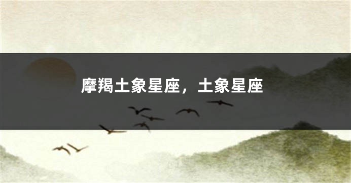 摩羯土象星座，土象星座