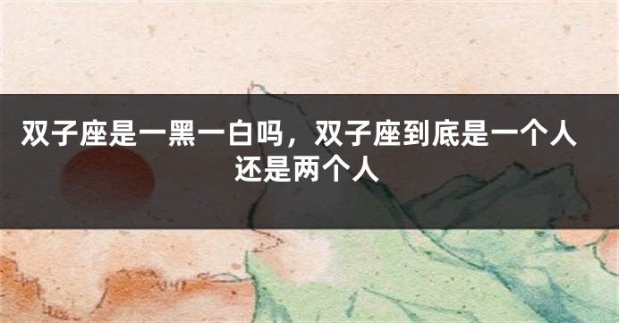 双子座是一黑一白吗，双子座到底是一个人还是两个人
