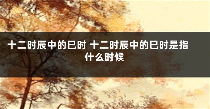 十二时辰中的巳时 十二时辰中的巳时是指什么时候