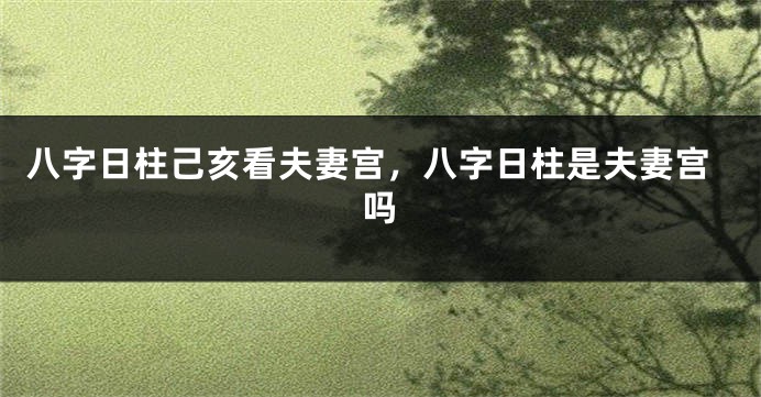 八字日柱己亥看夫妻宫，八字日柱是夫妻宫吗