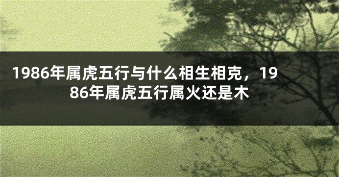 1986年属虎五行与什么相生相克，1986年属虎五行属火还是木