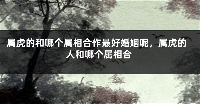 属虎的和哪个属相合作最好婚姻呢，属虎的人和哪个属相合