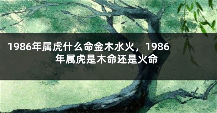 1986年属虎什么命金木水火，1986年属虎是木命还是火命