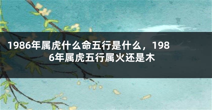 1986年属虎什么命五行是什么，1986年属虎五行属火还是木