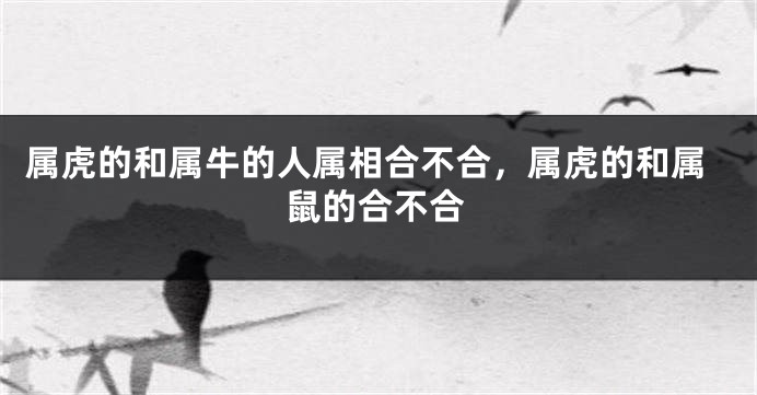 属虎的和属牛的人属相合不合，属虎的和属鼠的合不合