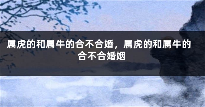属虎的和属牛的合不合婚，属虎的和属牛的合不合婚姻