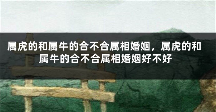 属虎的和属牛的合不合属相婚姻，属虎的和属牛的合不合属相婚姻好不好