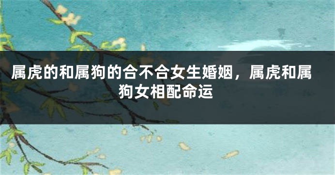 属虎的和属狗的合不合女生婚姻，属虎和属狗女相配命运