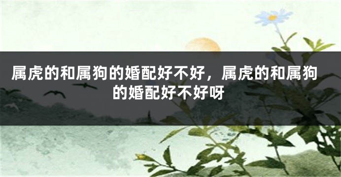 属虎的和属狗的婚配好不好，属虎的和属狗的婚配好不好呀