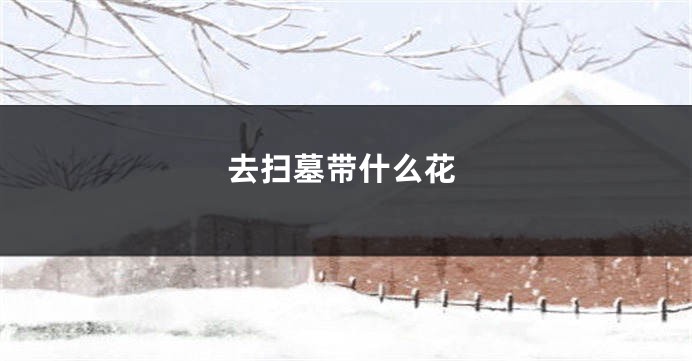 去扫墓带什么花