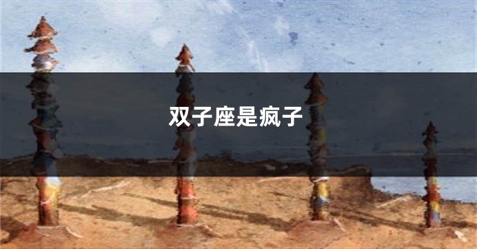 双子座是疯子