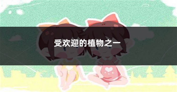 受欢迎的植物之一