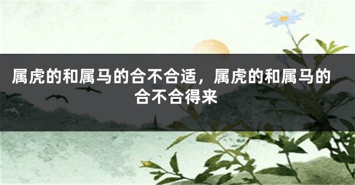 属虎的和属马的合不合适，属虎的和属马的合不合得来