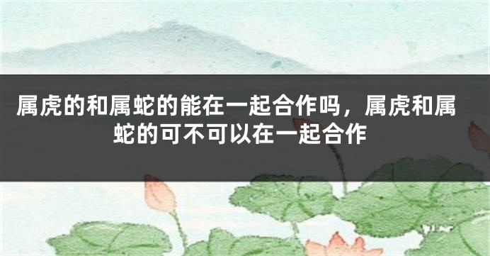属虎的和属蛇的能在一起合作吗，属虎和属蛇的可不可以在一起合作