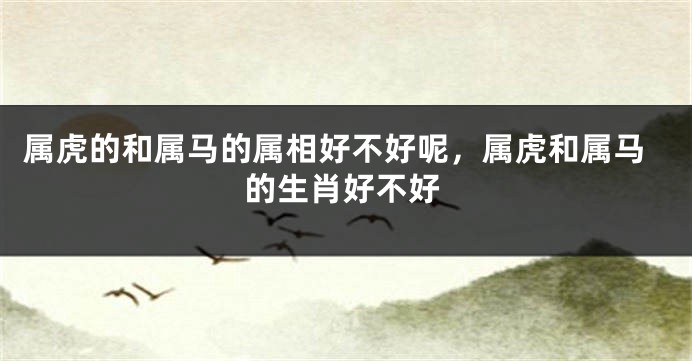 属虎的和属马的属相好不好呢,属虎和属马的生肖好不好