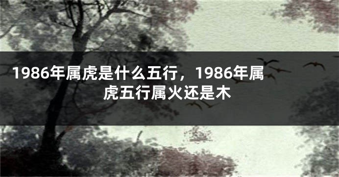 1986年属虎是什么五行，1986年属虎五行属火还是木