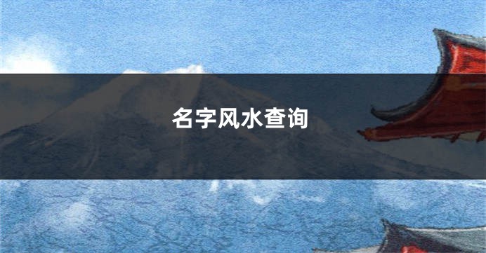 名字风水查询