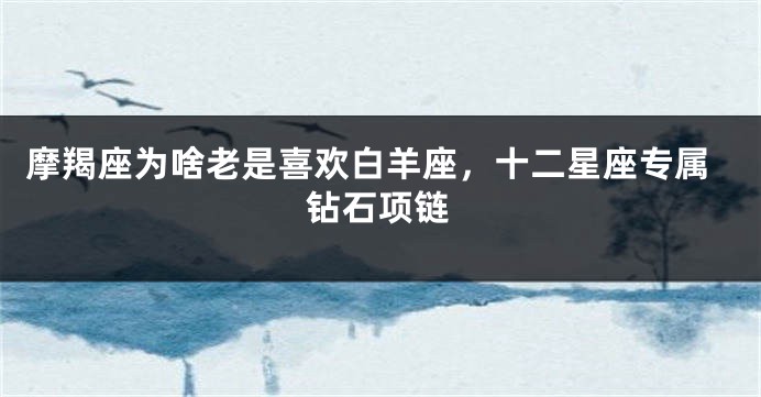 摩羯座为啥老是喜欢白羊座，十二星座专属钻石项链