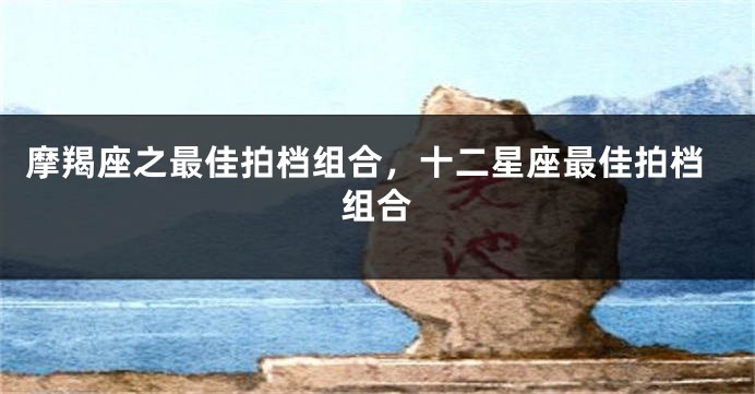 摩羯座之最佳拍档组合，十二星座最佳拍档组合
