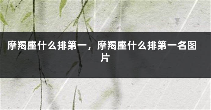 摩羯座什么排第一，摩羯座什么排第一名图片