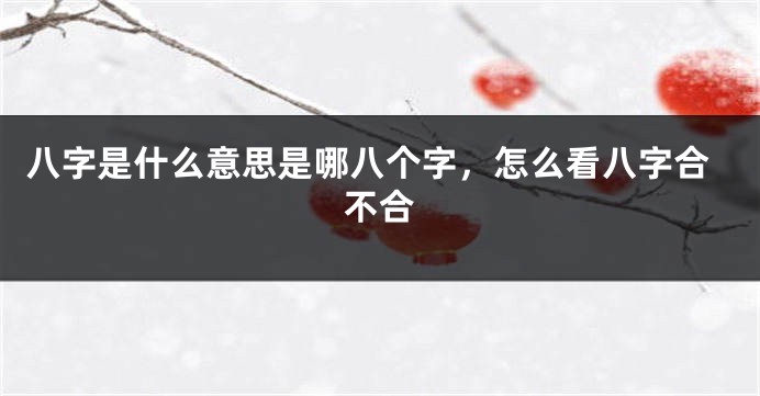 八字是什么意思是哪八个字，怎么看八字合不合