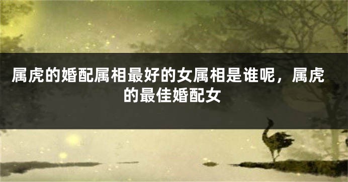 属虎的婚配属相最好的女属相是谁呢，属虎的最佳婚配女