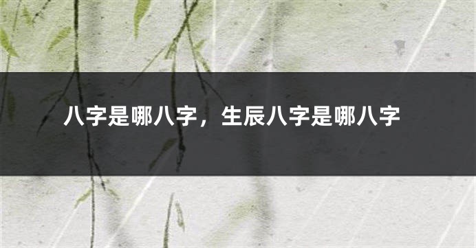 八字是哪八字,生辰八字是哪八字