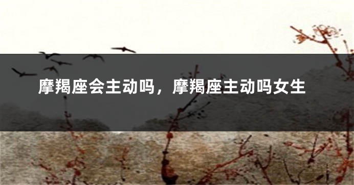 摩羯座会主动吗，摩羯座主动吗女生