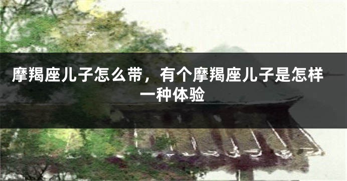 摩羯座儿子怎么带，有个摩羯座儿子是怎样一种体验