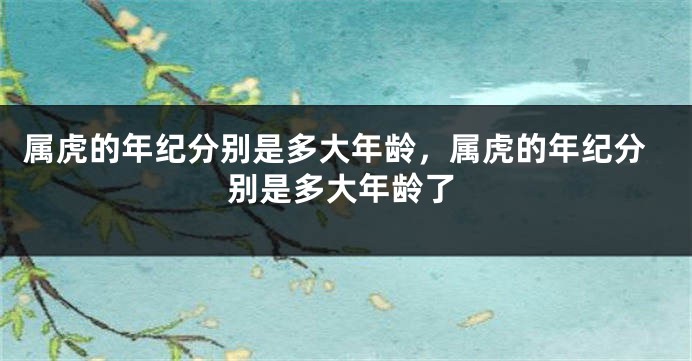 属虎的年纪分别是多大年龄，属虎的年纪分别是多大年龄了