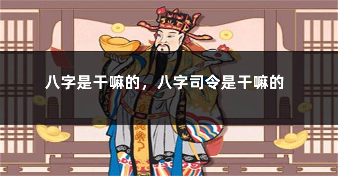八字是干嘛的，八字司令是干嘛的