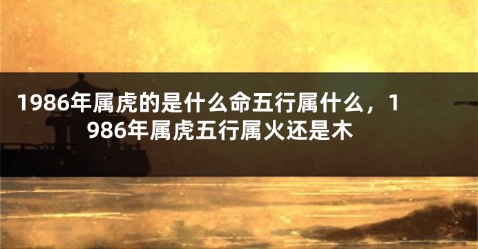1986年属虎的是什么命五行属什么，1986年属虎五行属火还是木