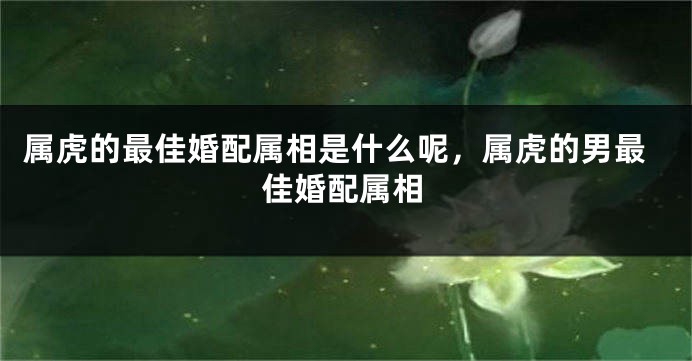 属虎的最佳婚配属相是什么呢，属虎的男最佳婚配属相