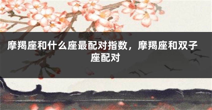 摩羯座和什么座最配对指数，摩羯座和双子座配对