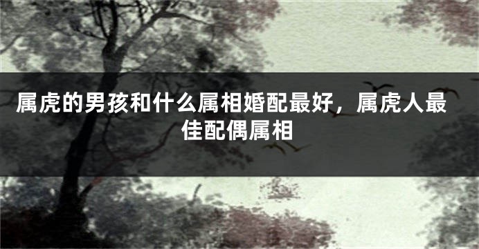 属虎的男孩和什么属相婚配最好，属虎人最佳配偶属相