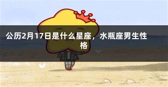 公历2月17日是什么星座，水瓶座男生性格