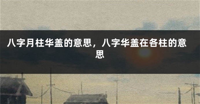 八字月柱华盖的意思，八字华盖在各柱的意思