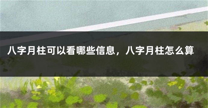 八字月柱可以看哪些信息，八字月柱怎么算