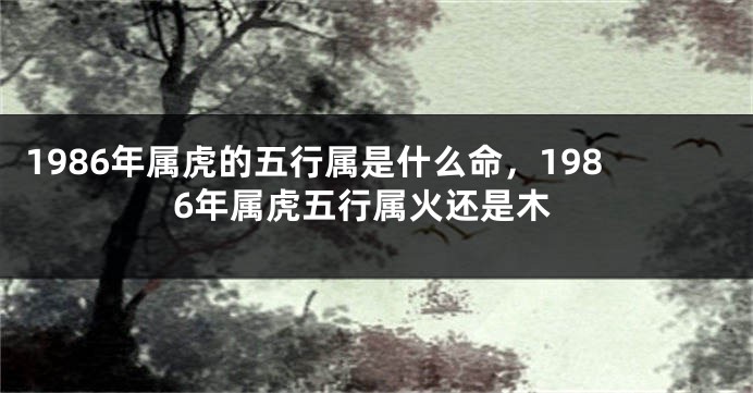 1986年属虎的五行属是什么命，1986年属虎五行属火还是木